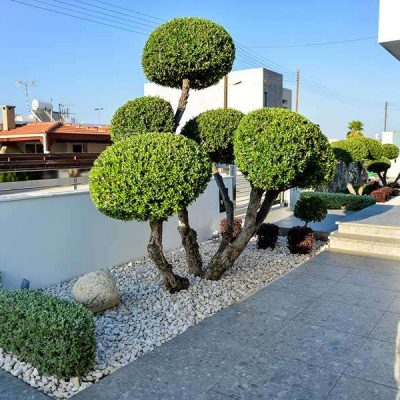 CONTEMPORARY_HOUSE_TRACHONI_12